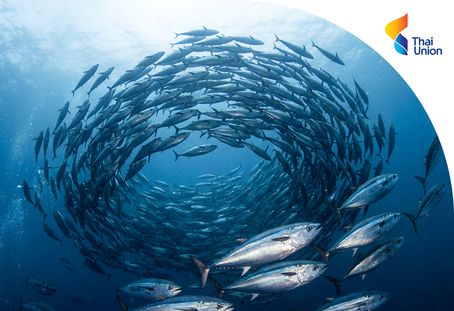 Thai Union Group PCL marks 10 years of leadership in responsible tuna sourcing with the publication of new 2025 Sustainability Report